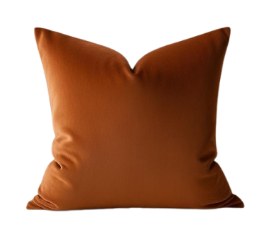 Picture of --- Velvet, Spice Pillow Cover
