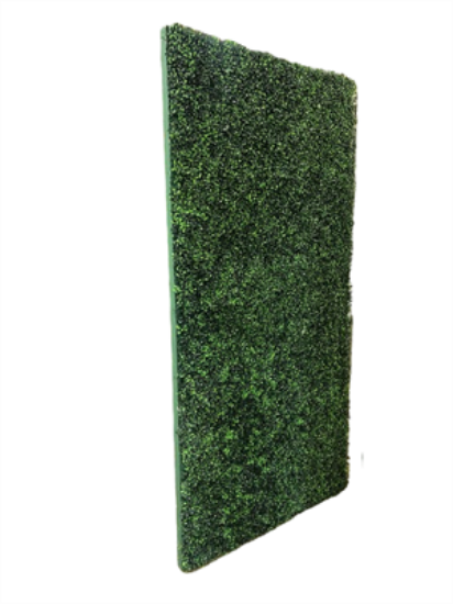 Picture of 4'W x 8'H Boxwood Privacy Wall, Kit