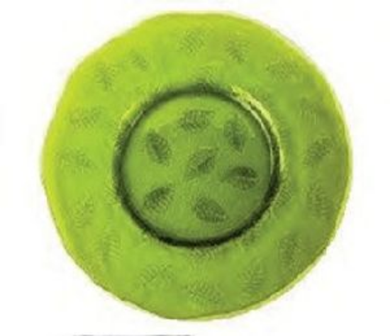 Picture of Jay, 13" Raspberry Leaf Charger