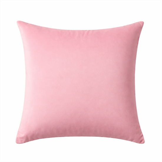 Picture of --- Velvet,  Blush Pillow Cover