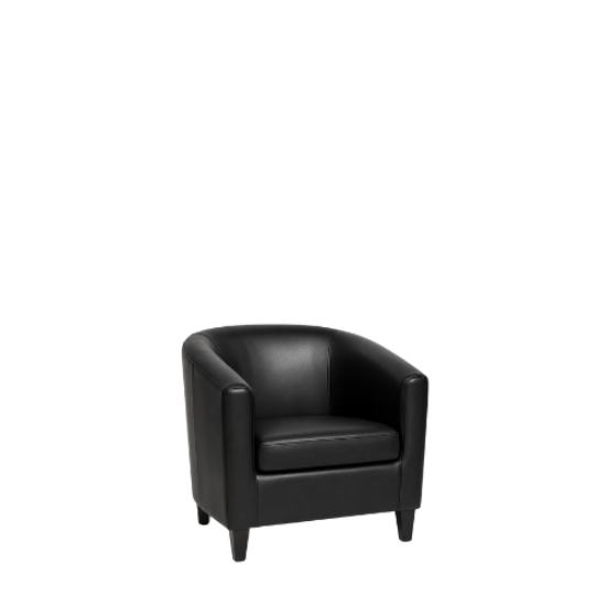 Picture of Essence, Black Leather ArmChair