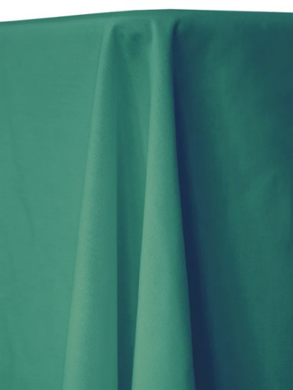 Picture of Fortex, Teal 6' Banquet Drape