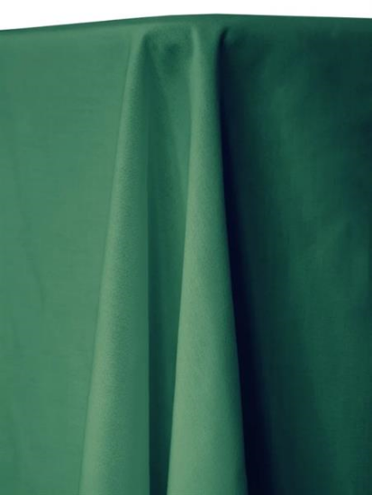 Picture of Fortex, Kelly Green 8' Banquet Drp
